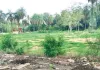 असर खबर का : जिला प्रशासन ने जेडीबी आर्ट्स प्राचार्य से मांगा जवाब