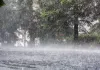 Weather Update : जयपुर सहित कई जिलों में बारिश का दौर जारी, जानें आने वाले दिनों में कैसा रहेगा मौसम