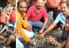 मंदिर में पहुंचा 7 फीट लंबा मगरमच्छ, श्रद्धालुओं में मची अफरा-तफरी