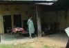 रामपुरा-कंवरपुरा स्कूल एक ही तबेला नहीं : 1210 स्कूल जमींदोज किए जाने के इंतजार में, 611 स्कूल बिना भवनों के संचालित