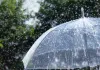 Weather Update : राजस्थान में मानसून का असर बरकरार, 17 सितंबर तक कई संभागों में बारिश और तेज हवाओं का अलर्ट