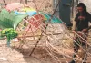 डेढ़ हजार रुपए फुट हो गई है रावण के पुतले की लागत, कारीगर बोले-मौसम साथ रहा तो ही हो पाएगी कमाई