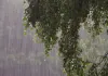 Weather Update : राजस्थान में कमजोर पड़ेगा मानसून, 12 सितंबर से फिर सक्रियता के आसार