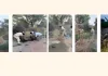 आमेर थाना पुलिस की बड़ी कार्रवाई, 5 हजार लीटर अवैध हथकड़ शराब की वॉश नष्ट, 25 भट्टियां और शराब बनाने के उपकरण किए नष्ट