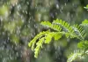 Weather Update : चक्रवात अर्नब का राजस्थान में दिखेगा असर, 30 अक्टूबर को 22 जिलों में बारिश का अलर्ट