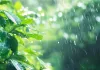 Weather Update : 12 अक्टूबर से बदलेगा राजस्थान का मौसम, उत्तर-पश्चिमी जिलों में बारिश के आसार