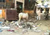 असर खबर का : 12 दिन बाद खत्म हुई सफाई कर्मचारियों की हड़ताल, आज से वापस काम पर लौटेंगे