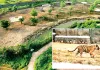 सीजेडए की आपत्ति में अटकी कोटा में टाइगर जोड़े की एंट्री