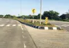 असर खबर का - डिवाइडर के पौधों की शुरू हुई कटाई