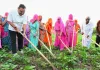 मुख्यमंत्री भजनलाल शर्मा के नेतृत्व में कृषि विकास की नई उड़ान, प्रधानमंत्री धन-धान्य कृषि योजना में राजस्थान की सशक्त पहचान