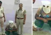 पार्क में अकेली महिला को पारिवारिक समस्या बताकर ठगा, 2 सोने के कड़े लेकर फरार हुआ शातिर गिरफ्तार 