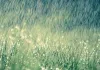 Weather Update : राजस्थान में मौसम का बदलेगा मिजाज, 18 अक्टूबर तक बारिश की संभावना