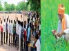 डीएपी खाद की कमी से किसान परेशान, कालाबाजारी रोकने प्रशासन: सिंघवी