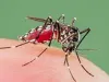 जयपुर में जानलेवा हुआ डेंगू, युवक की मौत