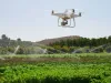 कृषि में ड्रोन का प्रयोग होगा क्रांतिकारी कदम