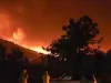 कैलिफोर्निया में जंगल में लगी आग 