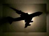 अमेरिका में विमान हादसे का शिकार, 4 की मौत