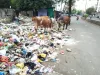 कोटा दक्षिण वार्ड 70 :  कचरा पॉइंट बड़ी परेशानी, दुर्गंध से जीना हुआ मुश्किल