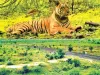 बाघ जिंदा तो फिर जमीन खा गई या आसमान!