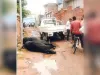 बिजली पोल में करंट से दो पशुओं की मौत