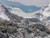 कश्मीर: वादी में हुई मौसम की पहली बर्फबारी