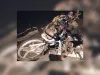 ट्रोले की टक्कर से बाइक सवार युवक की मौत