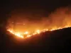 मुंबई के वन क्षेत्र में लगी भीषण आग