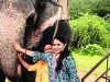 बढ़ती महंगाई में भी 10 सालों से नहीं बढ़ा हाथी सवारी का शुल्क