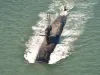 भारतीय नौसेना के प्रोजेक्ट-75आई में होगी जर्मनी की एंट्री, 6 महाशक्तिशाली पनडुब्बियों का दिया आफर