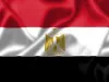 मिस्र ने सीरिया में आतंकवाद और विदेशी हस्तक्षेप को समाप्त करने का किया आह्वान