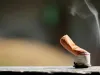 प्रदेश में हर साल 75 हजार लोग तंबाकू-धूम्रपान के सेवन से होते हैं मौत का शिकार