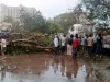 बिपरजॉय तूफान ने गुजरात तट पर छोड़े तबाही के निशान, 20 से अधिक लोग घायल