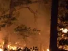 उत्तरी कैलिफोर्निया के जंगल में फैली आग, हजारों लोगों को निकाला