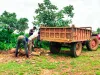 वन विनाश जारी, कुंभकरणी निद्रा में लीन वन अधिकारी