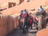 हाथी सवारी सबसे पुरानी, नहीं होती ऑनलाइन बुकिंग