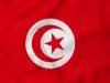 ट्यूनीशिया ने गाजा में भेजा मानवीय सहायता से भरा दूसरा विमान 