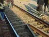 बिहार में 3 लोगों के ऊपर से निकली ट्रेन, सभी सुरक्षित