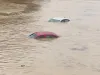 मलेशिया में बारिश के बाद बाढ़ से 6,500 से अधिक लोग विस्थापित