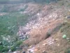 झपायता गांव की मुख्य तलाई बनी कूड़ादान, ग्रामीण परेशान