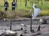 मलेशिया में एक छोटा विमान क्रैश, 2 लोग थे सवार