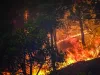 ग्रीस के जंगल में लगी आग, 3 लोग घायल