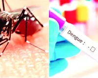 ब्राजील में डेंगू का बढ़ता प्रकोप, पिछले चार माह में 40 लाख से अधिक मामले
