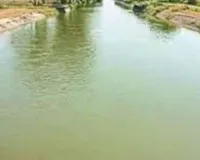 नोएडा: बेसमेंट के गड्ढे में डूबने से सॉफ्टवेयर इंजीनियर की मौत, बिल्डर पर FIR