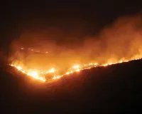 मुंबई के वन क्षेत्र में लगी भीषण आग