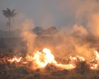 इजरायल में भीषण गर्मी के कारण 220 जगहों पर लगी आग, अग्निशमन कर्मियों ने पाया काबू 