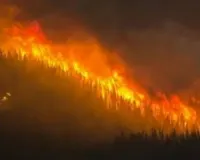 मेक्सिको के 19 प्रांतों में फैली जंगलों में लगी आग, 42 स्थानों पर काबू 