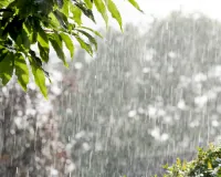  प्रदेश के कई जिलों में हुई  हल्की बारिश, हवाओं से मानसून की रफ्तार पर पड़ा प्रभाव 
