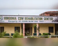 हिंगोनिया गौ पुनर्वास केंद्र में मुख्यमंत्री करेंगे ‘एक पेड़ गौमाता के नाम’ अभियान का शुभारम्भ 