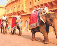 आमेर महल में हाथी सवारी के शुल्क में वृद्धि, एक अक्टूबर से होगी लागू