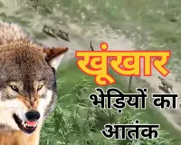 उत्तर प्रदेश के गांवों में आदमखोर भेड़ियों का आतंक, अब तक 9 लोगों को बनाया अपना निवाला